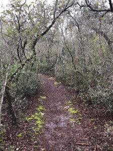 One of the easier sections... gets narrow and much more technical in other spots.