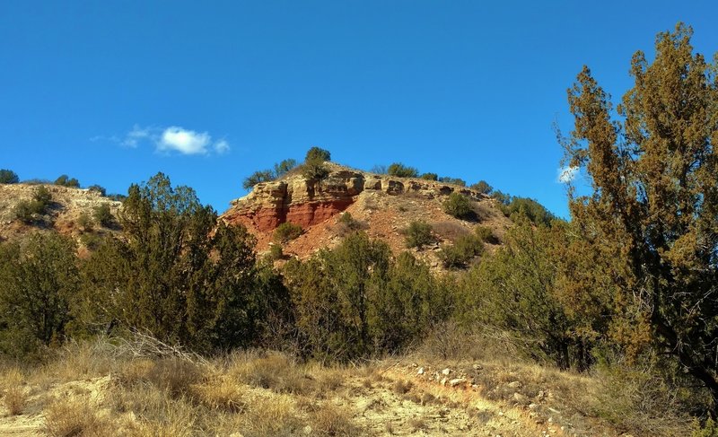 The cliff face at the end of Tub Springs Draw Spur.