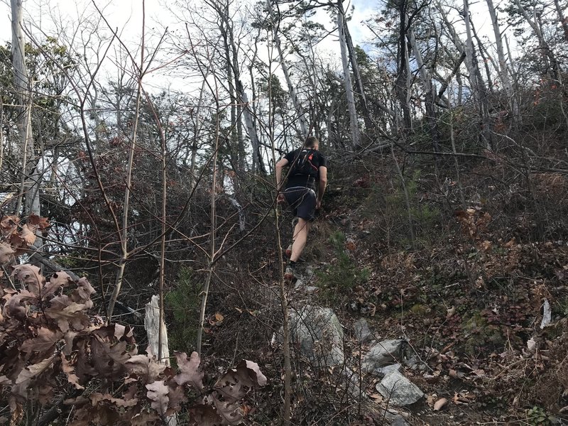 Yes, there is a trail there. Just an idea of how steep Flint Mill is. This is 1st of 2 climbs up Flint Mill in the Phantom 50k.