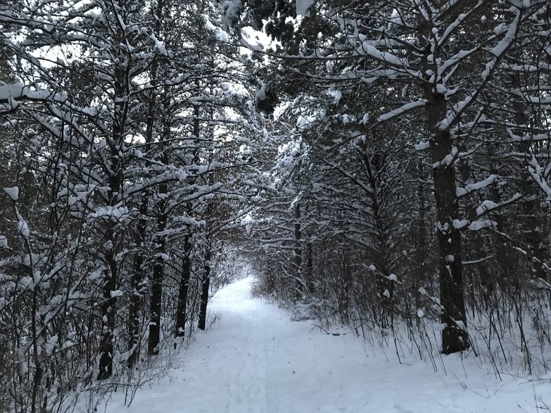 Lebanon hills provides some amazing scenery in the winter