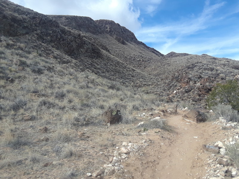 Heading north on Overlook Trail.