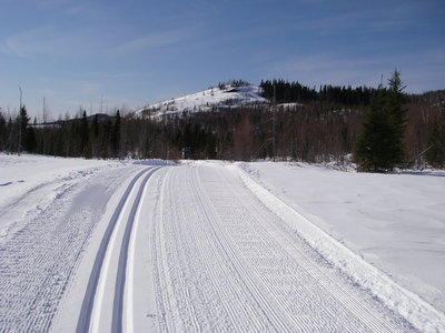 Chaulk's Run looking towards Games Trail and a knoll that snowshoe trail D6 crosses over