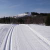 Chaulk's Run looking towards Games Trail and a knoll that snowshoe trail D6 crosses over