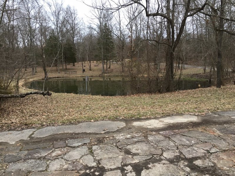 Post Oak Pond is near the parking area, and part ot the trail skirts around it.