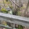 View from wooden bridge near bluffs.