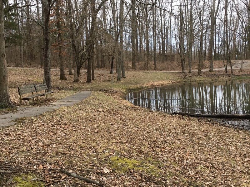 End of trail near pond and parking lot. Bench for resting or enjoylng the day.