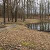 End of trail near pond and parking lot. Bench for resting or enjoylng the day.