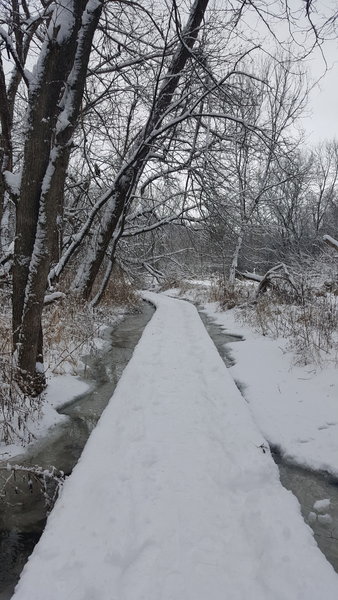 Indian Creek floating boardwalk.