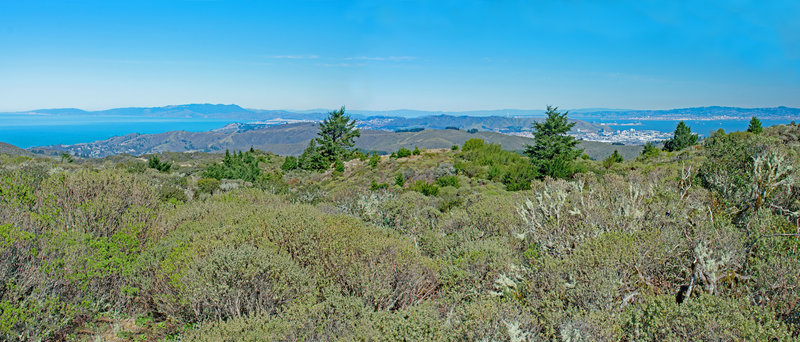 Sweeping panorama from near the cell tower, left to right: Pt. Reyes, Moss Beach, Tamalpais, Daly City, Sutro Tower, Sales Force building, South San Francisco, Oakland.