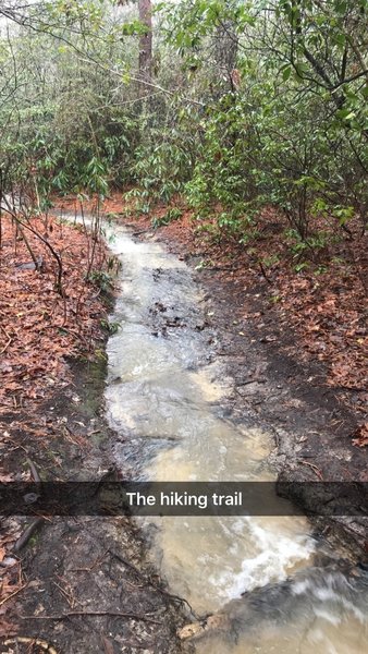 Moore's Wall Loop Trail.