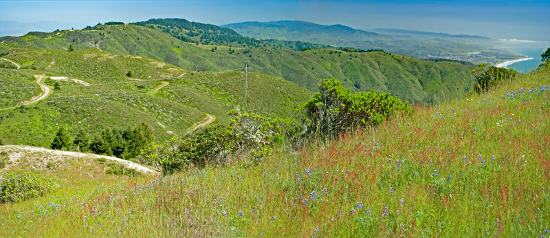 Scarper Peak from below South Peak. Scarper Road runs downhill in the left foreground and then is the smaller road running up the center. The wide road on left side is in the San Francisco Watershead.