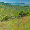 Scarper Peak from below South Peak. Scarper Road runs downhill in the left foreground and then is the smaller road running up the center. The wide road on left side is in the San Francisco Watershead.