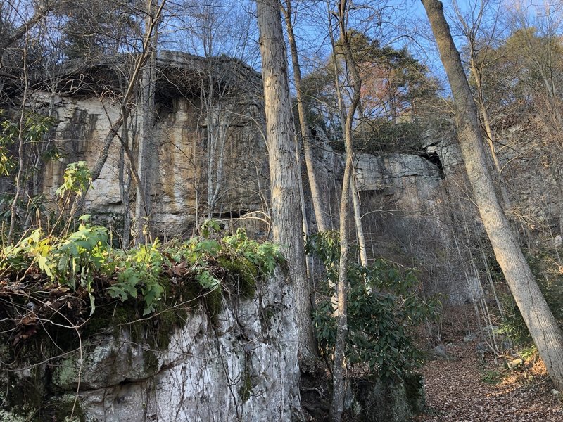 Looking up from the bottom of the trail- time to climb.