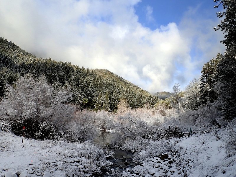 Winter comes to the Jacksonville Forest.