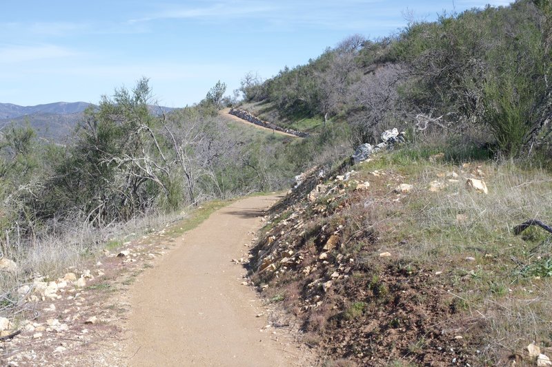 The trail narrows if you follow it straight ahead. It is man made, so it is easy traveling and well groomed.