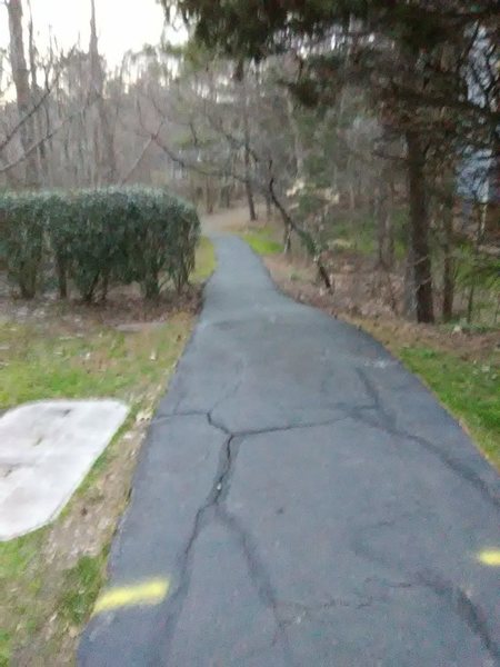 Looking down a trail