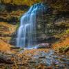 Tiffany Falls in the fall.