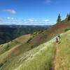 Upper trail of North Fork commonly called the Coyote Ridge section.