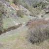 The West Fork Chalone Creek follows the trail. While the creek may be dry most of the year, if there have been recent rainstorms, you can hear it as it makes its way through the creek bed.