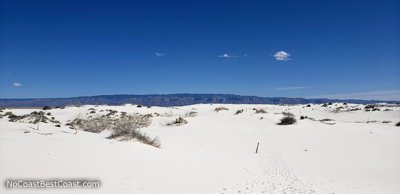 The Sacramento Mountains seen from the Dune Life Nature Trail.