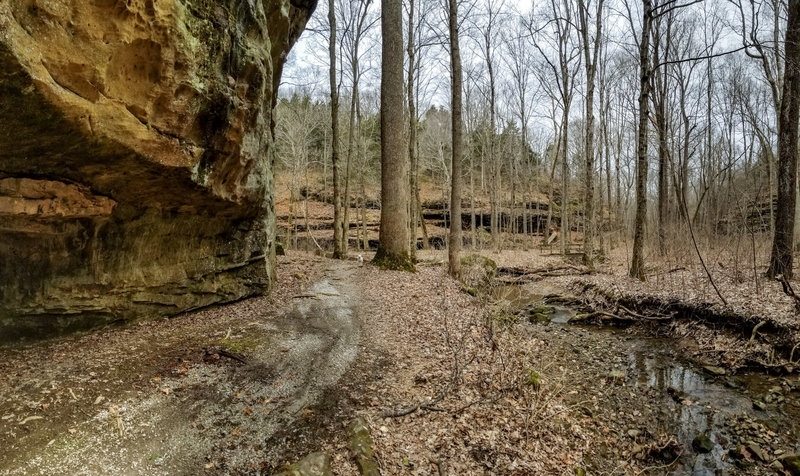 Nearing the bottom of the gravel trail from Rim Rock parking.