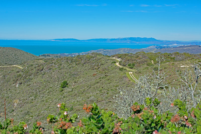 Point Reyes and Tamalpais from end of road. The dirt road in the center is within inaccessible Crystal Springs Watershed.