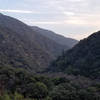 Looking into the valley with the creek.