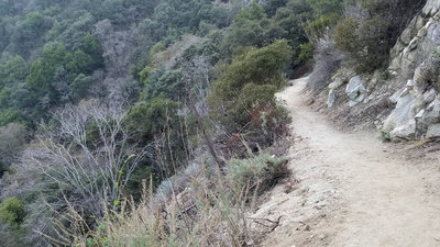 The beginning part of the singletrack.