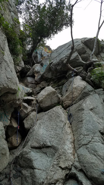 Looking back up the climb down to the falls.