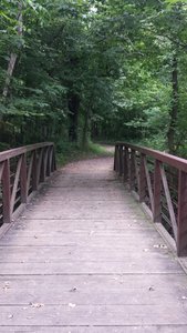 Bridge at 7 Mile Creek
