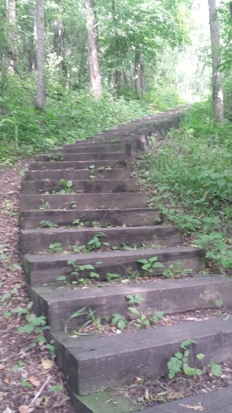 River Trail Staircase at Flandrau