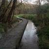 Indian Creek Boardwalk