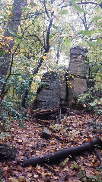 Dolomite Rock Formation in the Woods