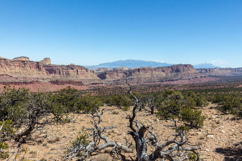 Capitol Reef in front of the Henry Mountains