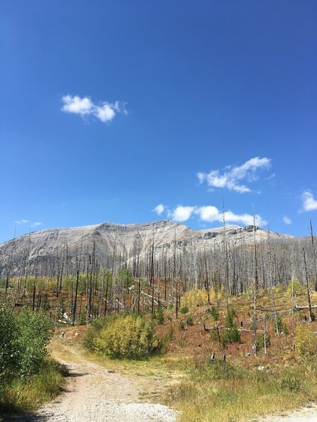 Mount Wright Trailhead