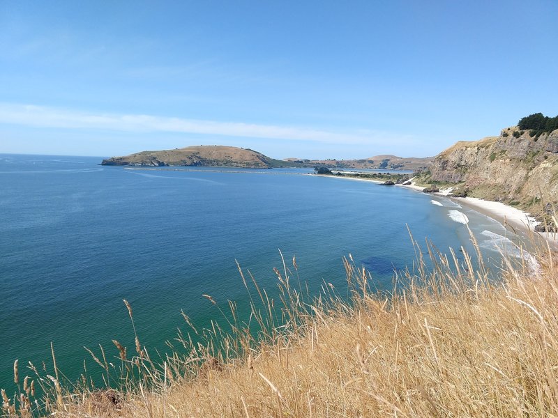 View from Heyward Point, south towards Port Chalmers