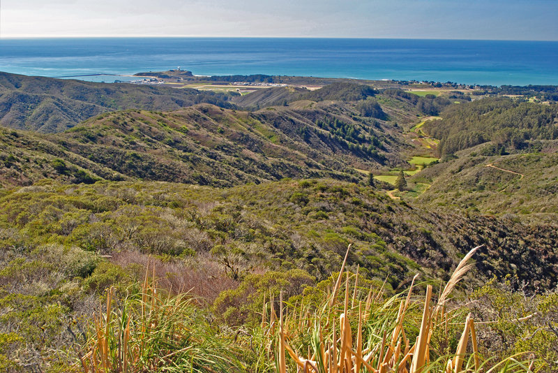 Spine Trail is on the ridge that goes from the left to the Eucalyptus trees in the center. Pillar Point and harbor in the distance and San Vicente Farms in the center