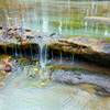 What mineral is causing the cloudy white appearance of the streams seen on this trail?