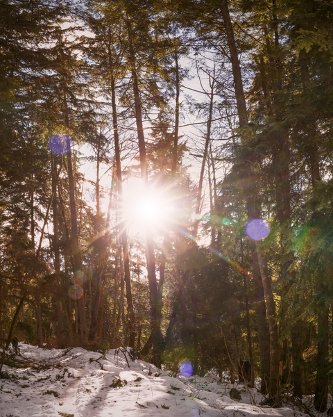 Great March weather - snow on the ground and the sun resting in a blue sky