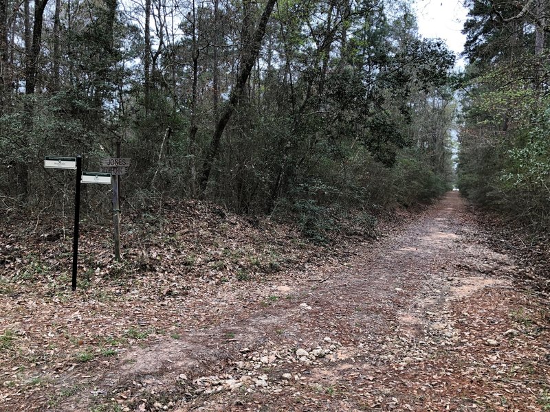 Looking south on Jones Trail from Buckhorn