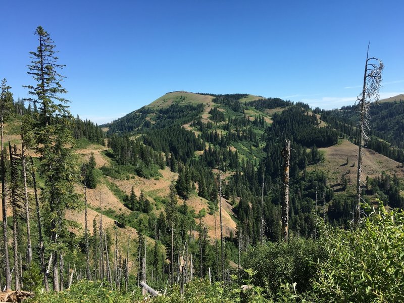 Looking north to Table Rock from Kendall Skyline Road