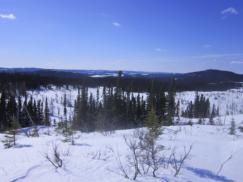 View from Colin's Hut looking towards Grand Lake Road in the distance.