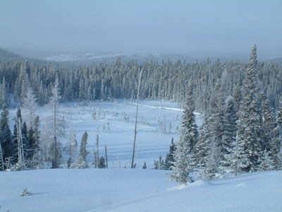 From Colin's Hut you can see Tilt Pond Trail below