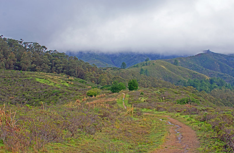 Farmers Daughter Trail with the ridge of the "Spine" running from the center to the right up towards the Scarper Trail