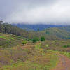 Farmers Daughter Trail with the ridge of the "Spine" running from the center to the right up towards the Scarper Trail