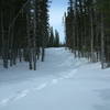 Backcountry ski and snowshoeing opportunities beyond Colin's Hut on Tilt Pond Trail