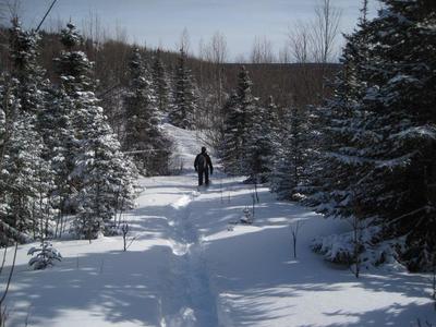 Julian breaking trail on E1
