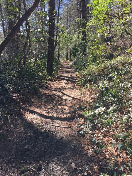 Pink beds loop trail