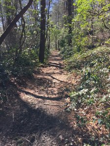 Pink beds loop trail