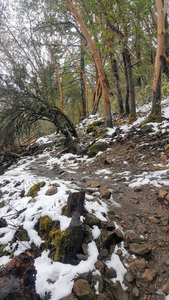 Upper Table Rock Trail